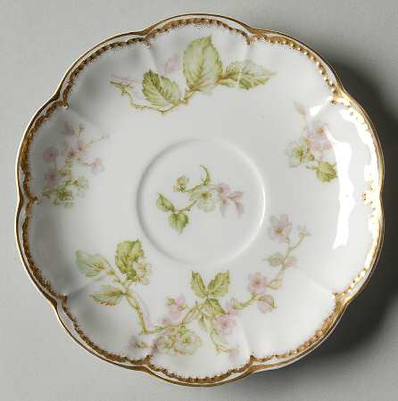 Schleiger 62j Saucer