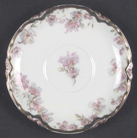 Schleiger 69F Saucer