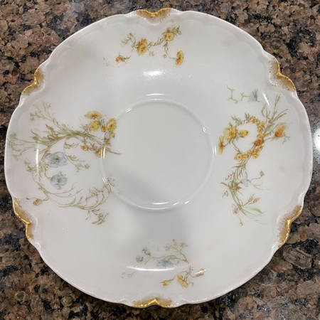 Schleiger 71 Saucer