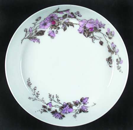 Schleiger 77b Saucer