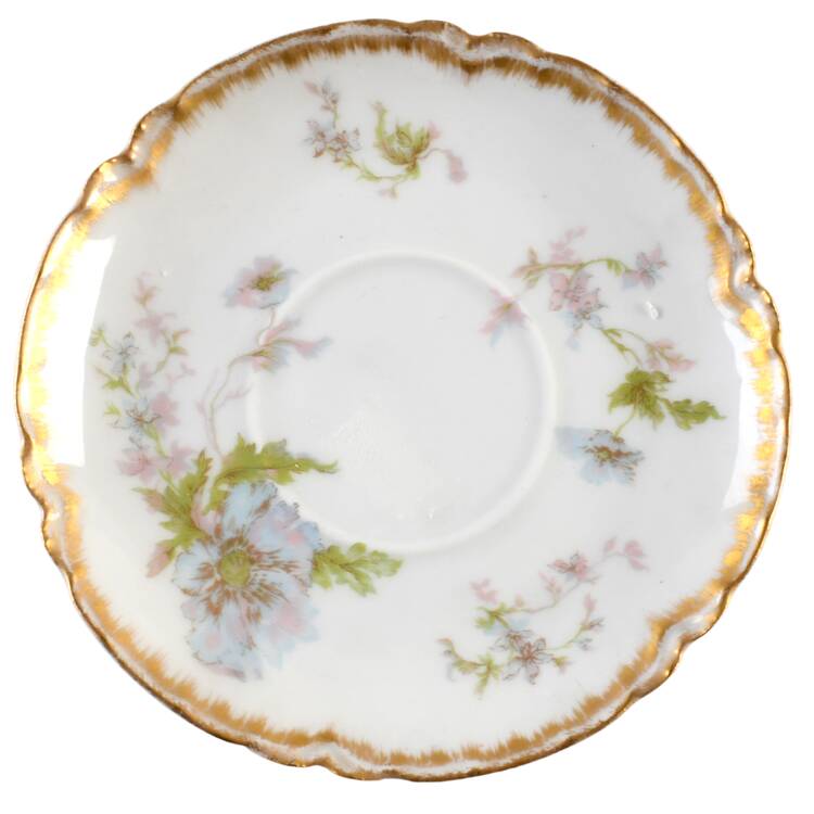 Schleiger 79f Saucer