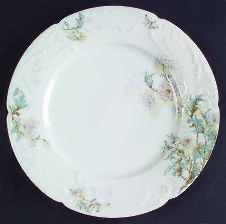 Schleiger 160a by Haviland