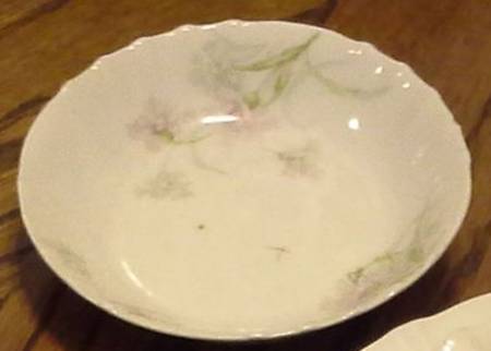 Schleiger 1035a Fruit/Dessert (Sauce) Bowl