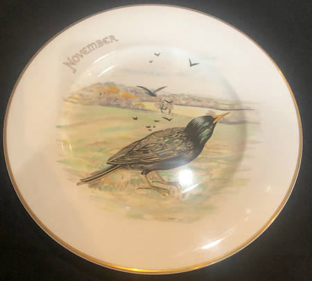 Country Diary of An Edwardian Lad Luncheon Plate