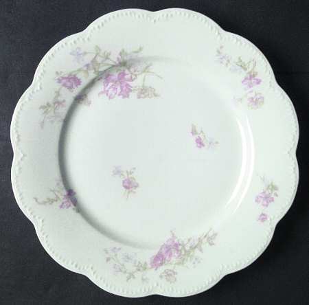 Schleiger 224e by Haviland