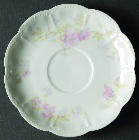 Schleiger 224e Saucer