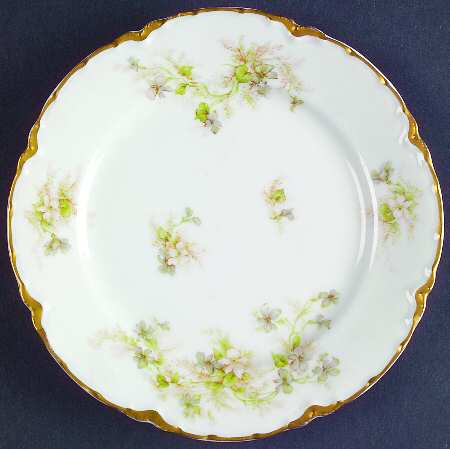 Schleiger 231c by Haviland