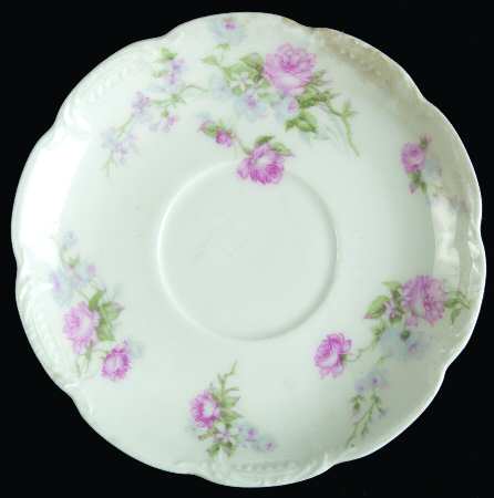 Schleiger 261d by Haviland