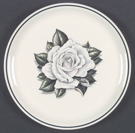 HLC1631 by Homer Laughlin 