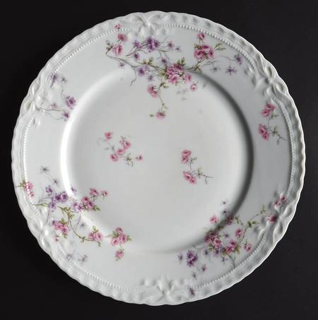 Schleiger 309l by Haviland