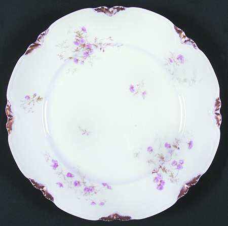 Schleiger 459A by Haviland