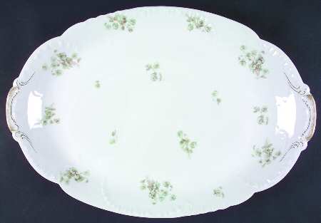 Schleiger 465e by Haviland