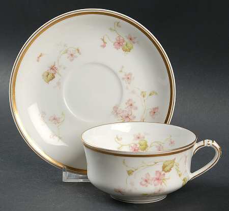 Schleiger 473c by Haviland