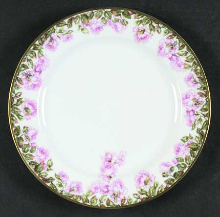 Schleiger 496a by Haviland