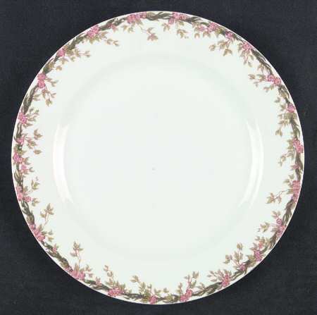 Schleiger 545 by Haviland