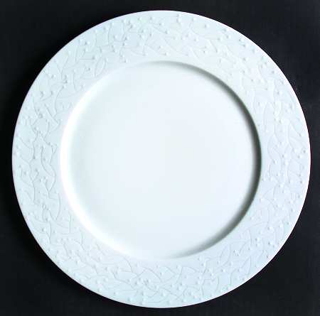 Provence Ivory by Haviland