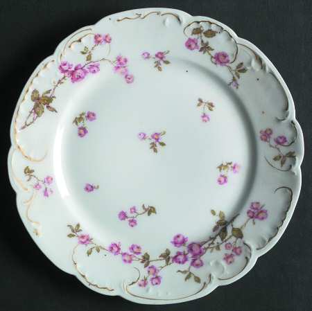 Schleiger 679d by Haviland