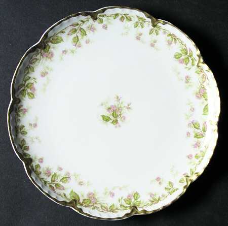 Schleiger 739 by Haviland