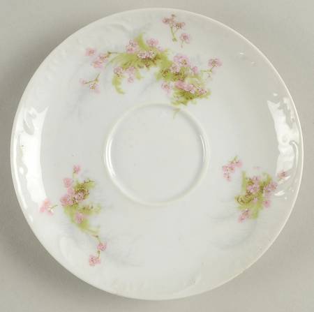 Schleiger 836e Saucer