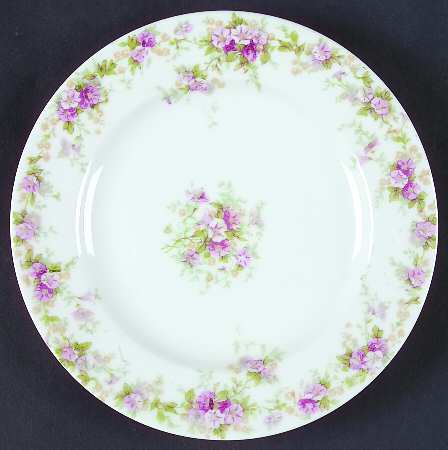 Schleiger 855 by Haviland