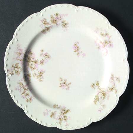 Schleiger 80-1 by Haviland