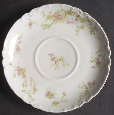 Schleiger 51B Saucer