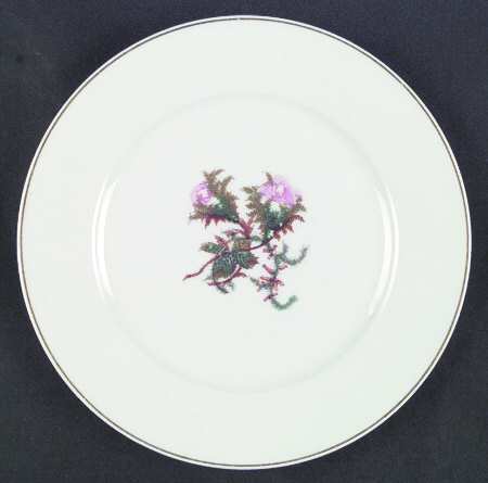 Moss Rose (Gold Trim, No Verge) by Haviland