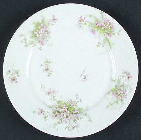 Schleiger 146-1 by Haviland