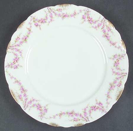 Schleiger 145-2 by Haviland