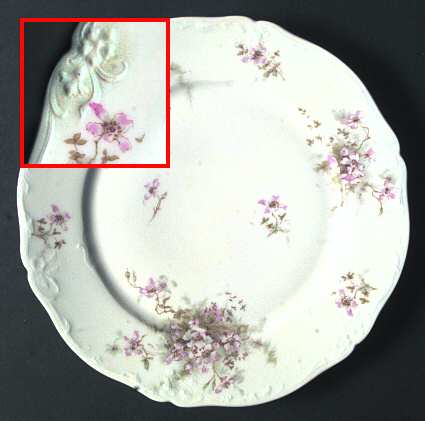 Schleiger 146-2 by Haviland
