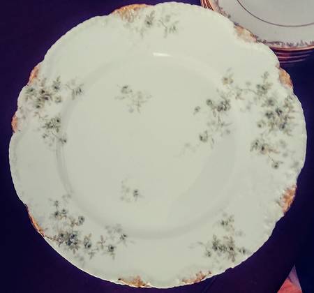 Schleiger 150-8 Dinner Plate