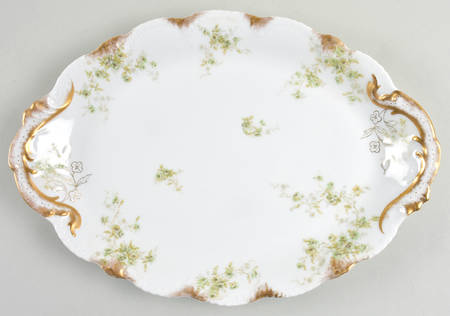 Schleiger 150-8 by Haviland
