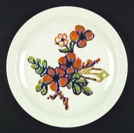 Nutmeg by Homer Laughlin 