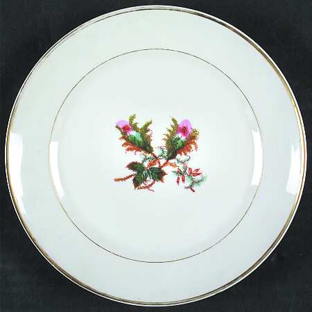 Moss Rose (Thin Gold Trim) Salad Plate