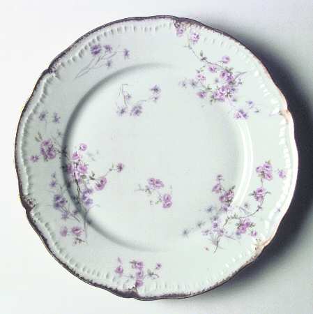 Schleiger 309-3 by Haviland