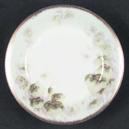 Schleiger 665-3 by Haviland