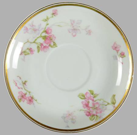 Schleiger 37-2 Saucer