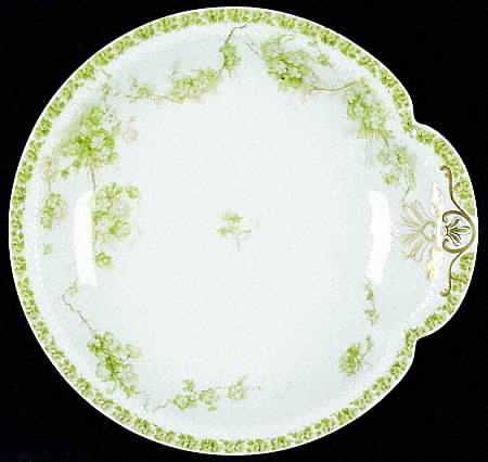 Schleiger 248-5 by Haviland