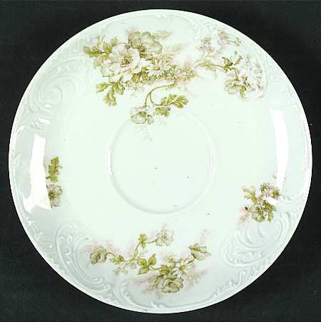 Schleiger 466-2 by Haviland