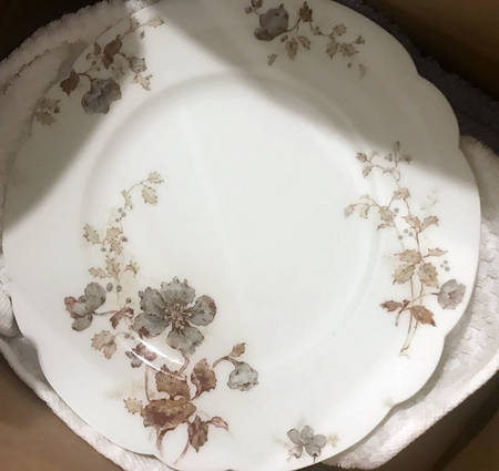 H2570 Dinner Plate