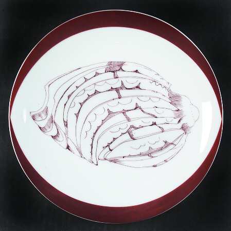 Stix Rare Shell Collection by Heinrich - H&amp;C
