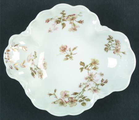 Schleiger 264-3 by Haviland