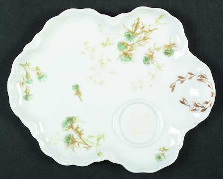 Schleiger 457-1 by Haviland