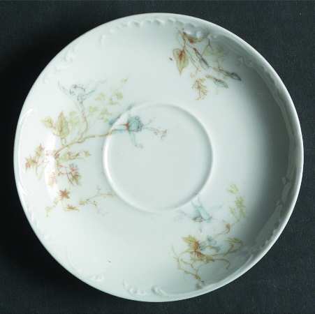 Schleiger 1170-1 by Haviland