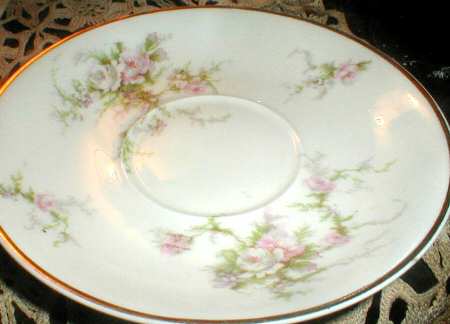 Schleiger 154-1 Saucer