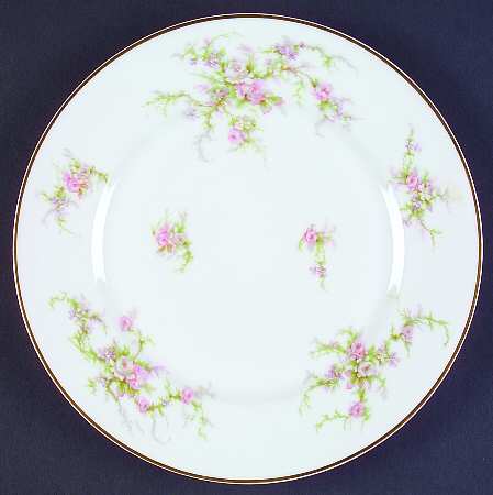 Schleiger 154-1 by Haviland