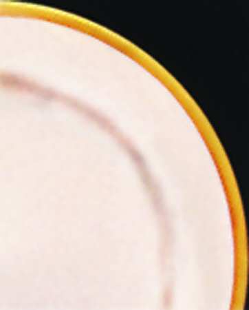 Rosemaling Old Gold Line by Homer Laughlin 