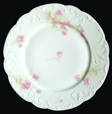 Schleiger 254-4 by Haviland