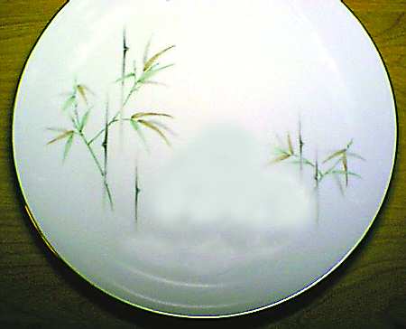 Bamboo by Hira China