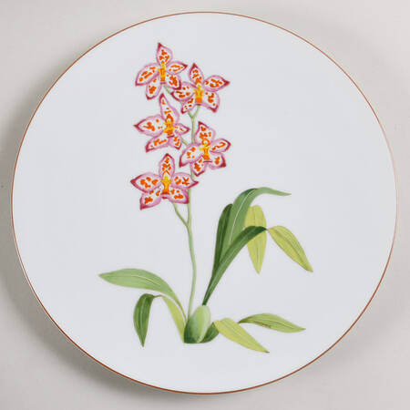 Jardin des Orchidees Dinner Plate